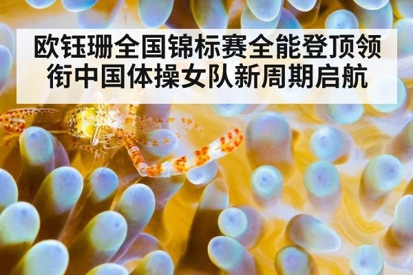 欧钰珊全国锦标赛全能登顶领衔中国体操女队新周期启航